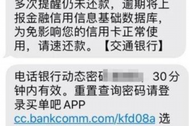 肇东遇到恶意拖欠？专业追讨公司帮您解决烦恼